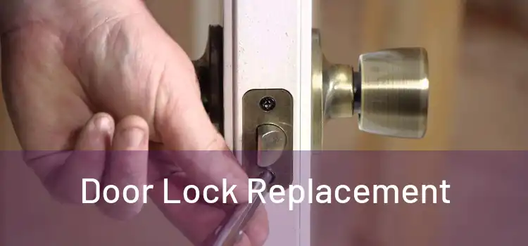  Door Lock Replacement 